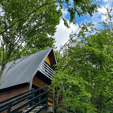 Martvili Canyon Cottage المظهر الخارجي الصورة